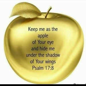 Meet your Posher, Marly